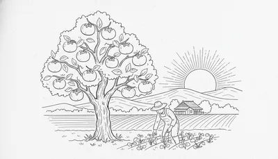 新規就農 和歌山で成功できる？