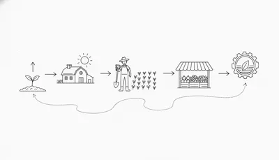 新規就農の流れとは？